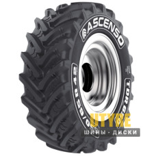 Ascenso TDR 650 (с/х) 480/65 R24 140D