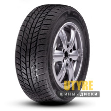 Roadx RXFrost WH01 205/55 R16 91H