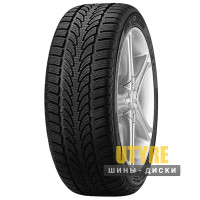Nokian WR 295/30 R19 100V XL N0