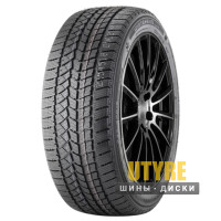 Doublestar WINTERKING DW02 215/75 R15 100S