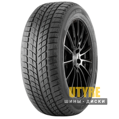 Doublestar WINTERKING DW09 215/45 R17 91H